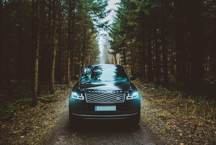 Schwarzer Range Rover auf Waldweg