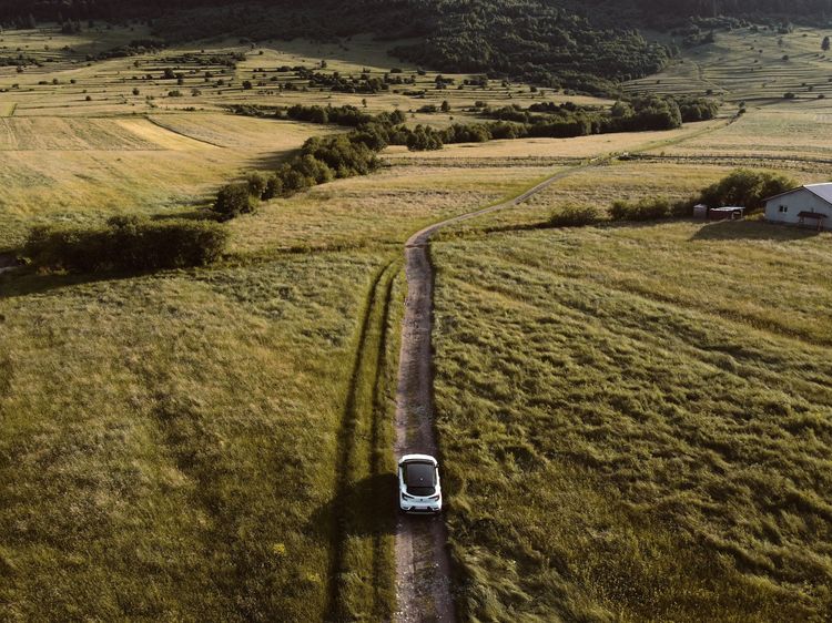 Renault in der Natur