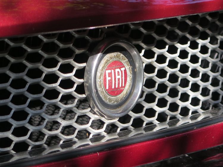 Fiat Logo