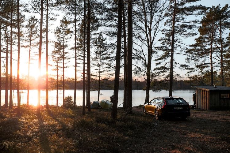 Volvo Auto Abo vor einem See im Wald