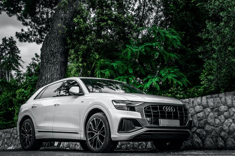 Audi in der Natur